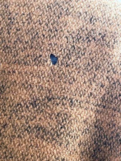 Jean Paul Gaultier Femme Blazer – Couture Edition, Senfgelb, Tailliert mit Gürtel, Made in Italy, Gr. 44