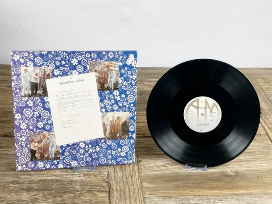 Captain Sensible – Wot! Vintage Maxi-Single (A&M Records, Germany 1982)