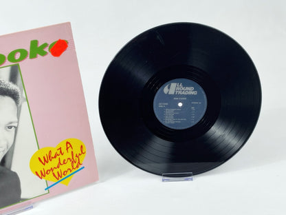 Sam Cooke - What A Wonderful World (All Round Trading, AR 31966) LP Vinyl