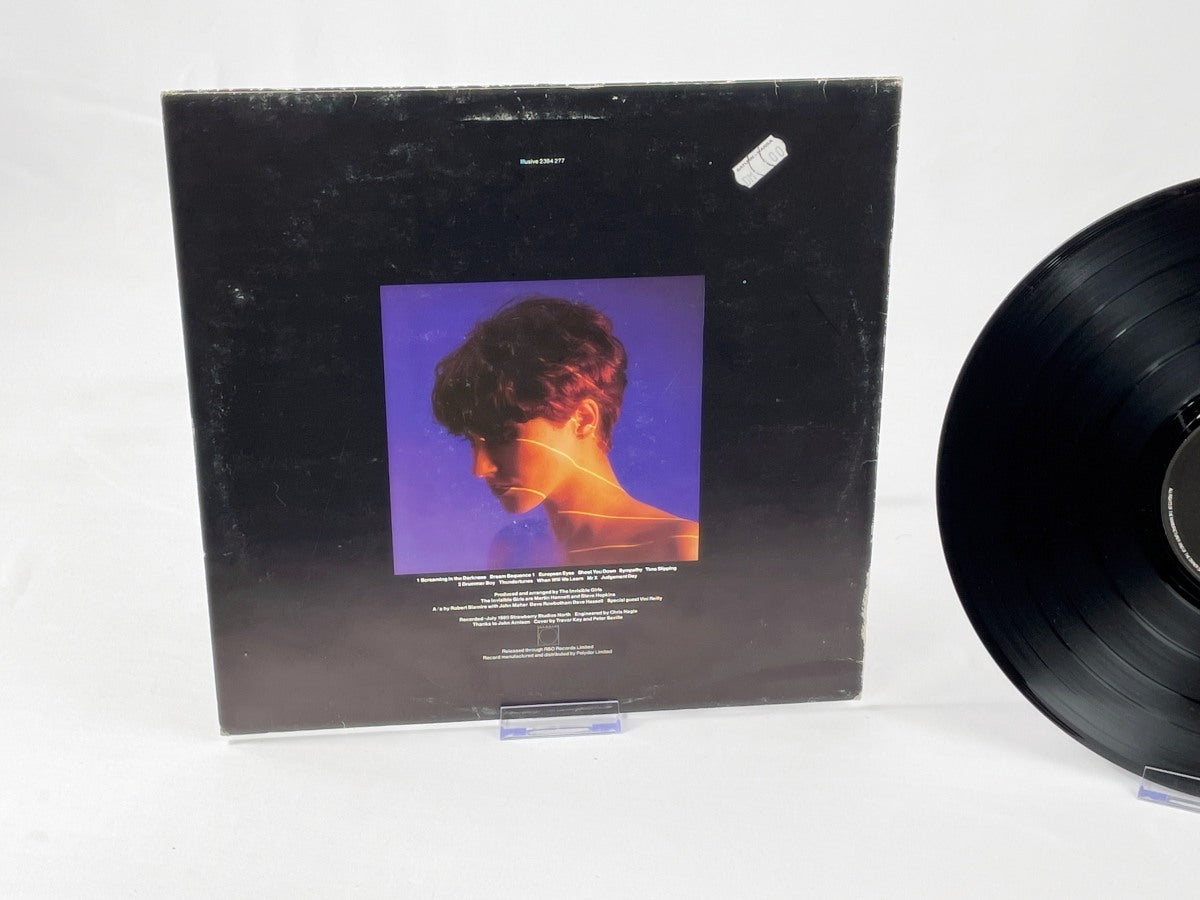 Pauline Murray And The Invisible Girls – Self-Titled LP 1980, Retro Post-Punk Original Vinyl