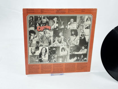 Engerling – Engerling (Vintage Vinyl, AMIGA, DDR Rock, 70s/80s Kultalbum)